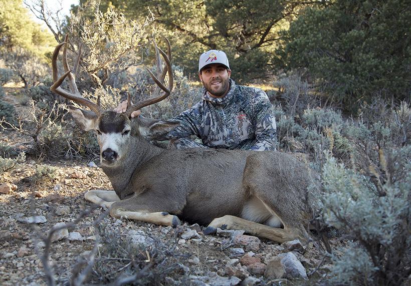 Lorenzo 2013 mule deer buck