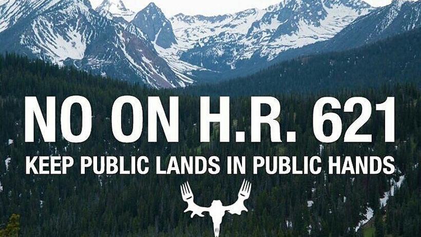 Pic 2 - Social media’s impact on hunting