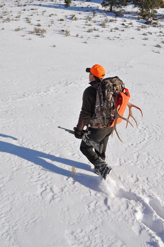 Lballard_mule deer rut