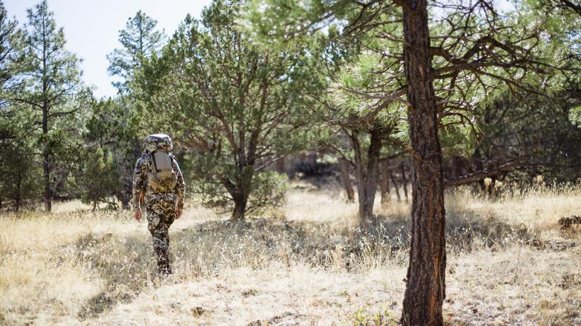 Hunting deer in the great state of arizona