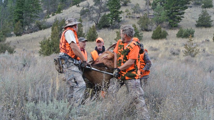 Everyone on the game cart hauling out the elk