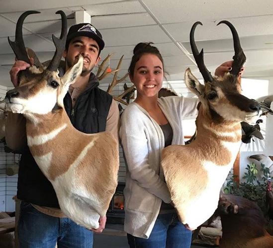 Honeymoon antelope buck mounts