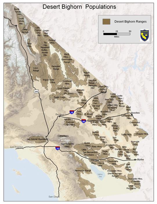 California desert bighorn sheep map