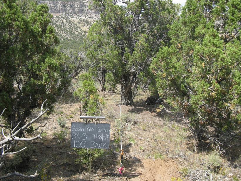 2008 goslin mountain bullhog