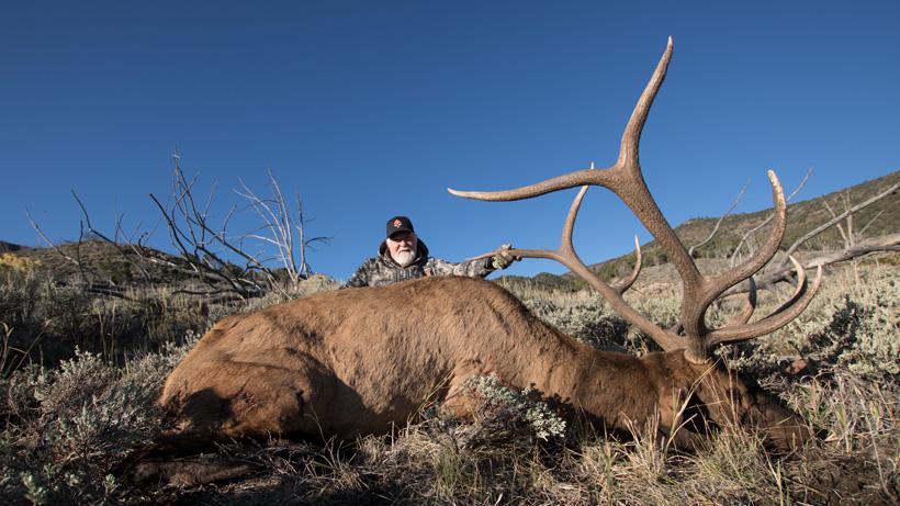 APPLICATION STRATEGY 2018: Utah Elk and Antelope - 4d