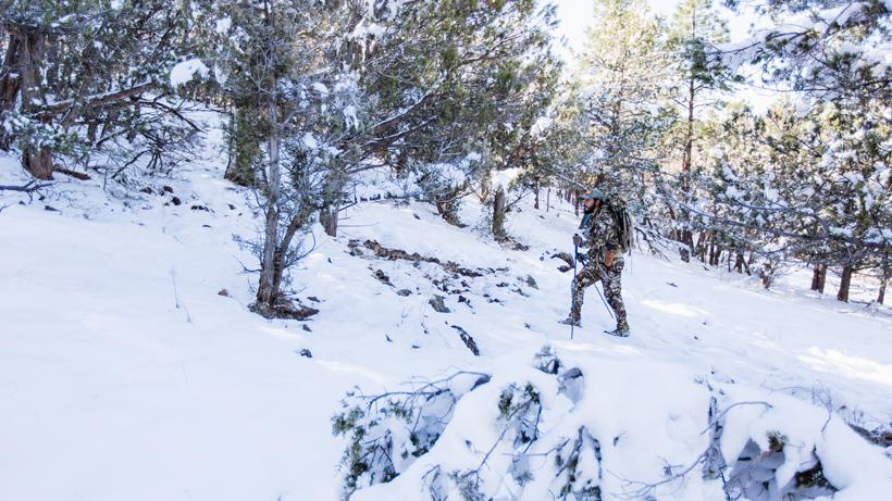 Technology bowhunting 3_0