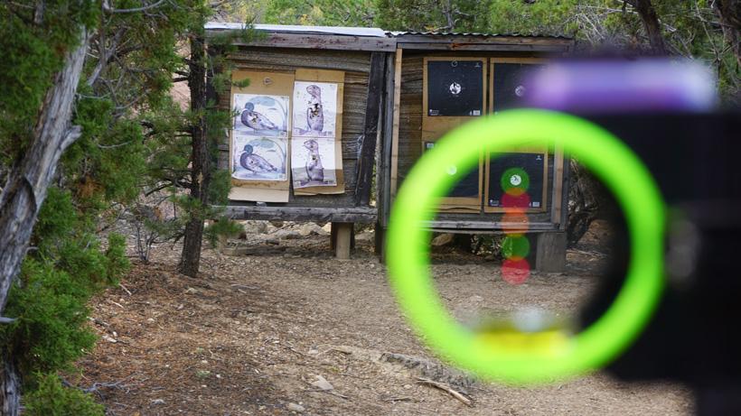 Blurry bowsight pins and clear target