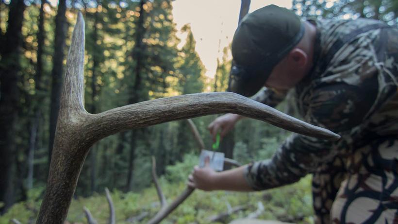 Avoid these top 10 elk hunting mistakes - Part 2 - 3d