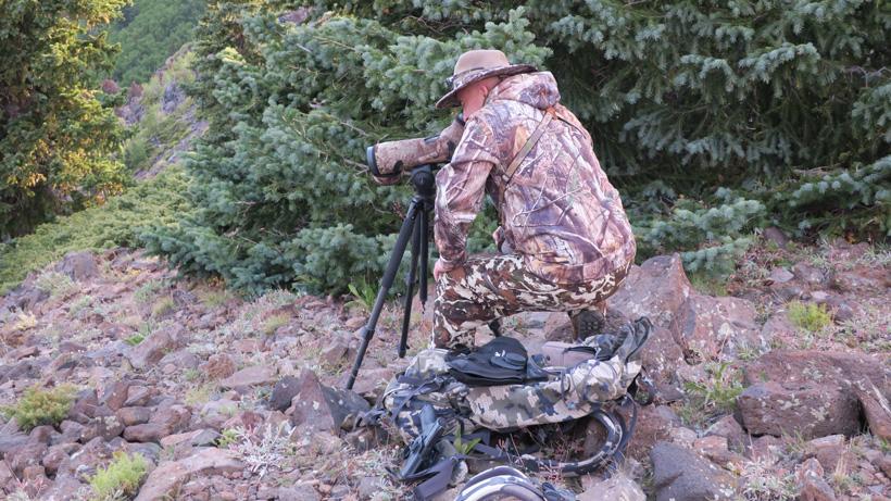 Glassing for mountain goats