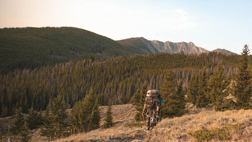 Anthony wright walking hunting