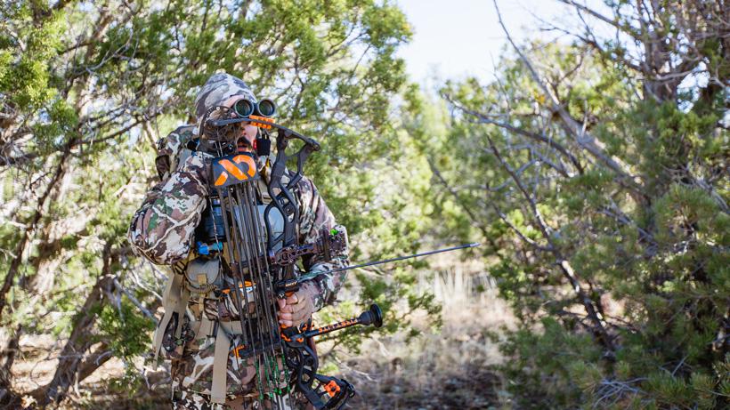 Glassing firstlite bear