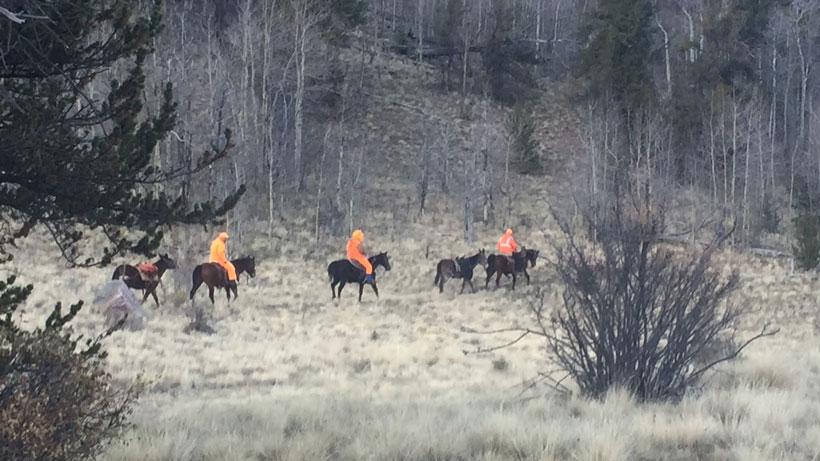 Planning your mule deer hunt in elk country - 2