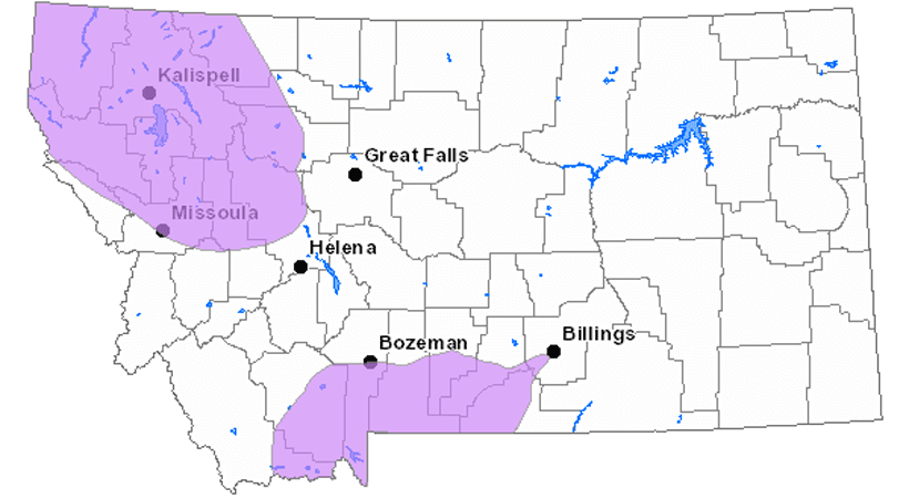Montana grizzly bear range