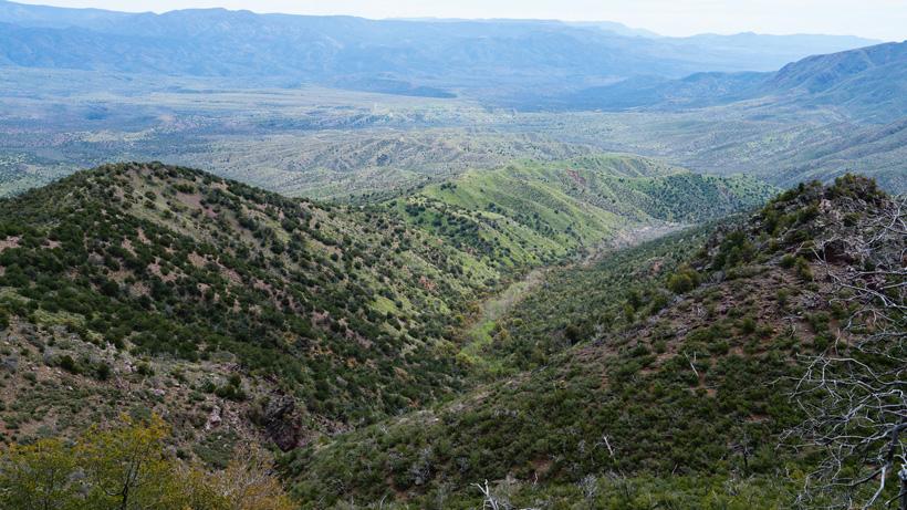 Pic - 3 - Archery deer hunts