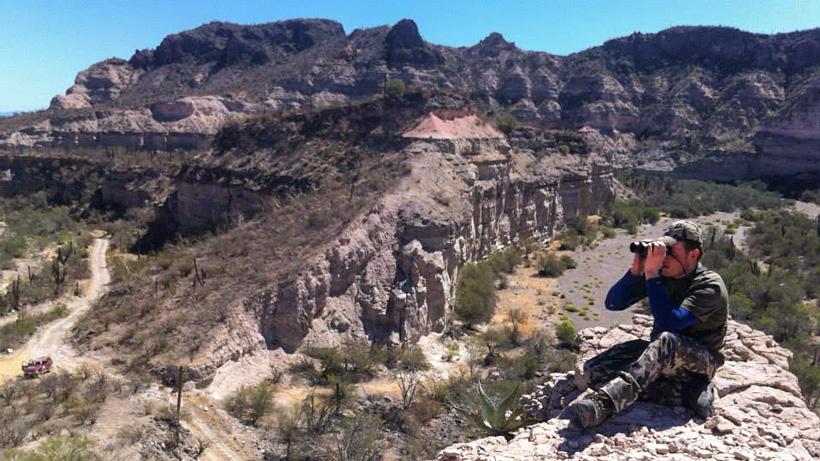 Glassing for desert bighorns in mexico