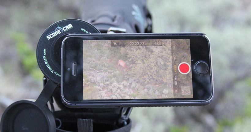 Tines up digiscoping video of bull elk