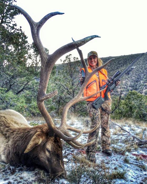 APPLICATION STRATEGY 2016: Utah Elk and Antelope - 3d