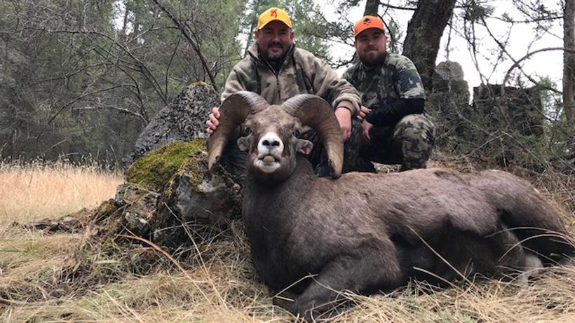 Bighorn sheep hunt 6