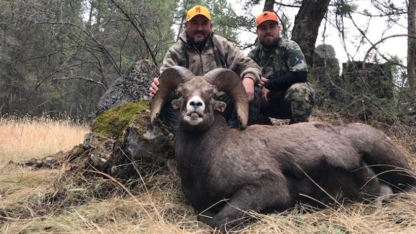 Once in a lifetime DIY Montana sheep hunt - 3