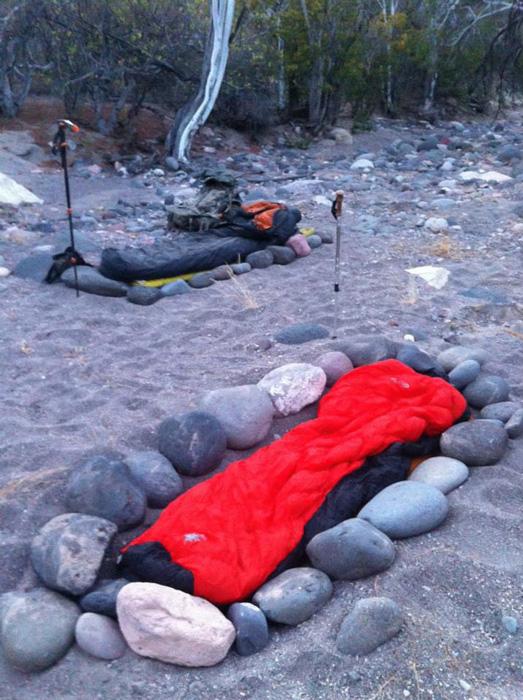 Sleeping in desert sheep country