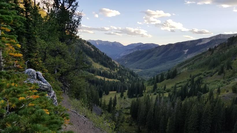 Jake horton mule deer 2