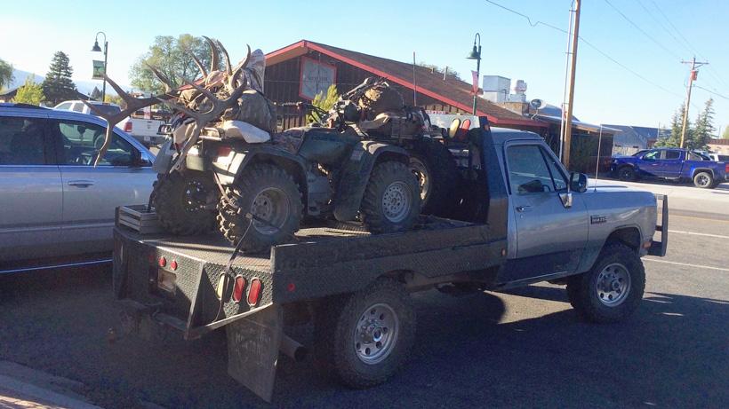 Back in town with the bull elk