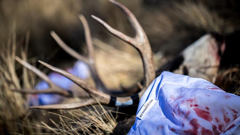 Caribou gear game bags