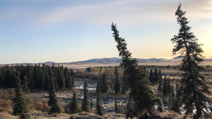 Staying in the game - V3