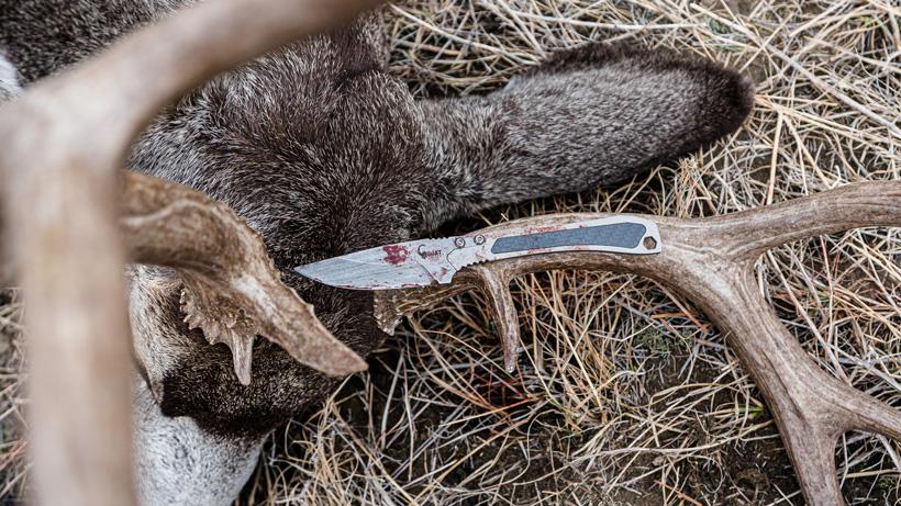 Tur carbon pro knife on mule deer antlers