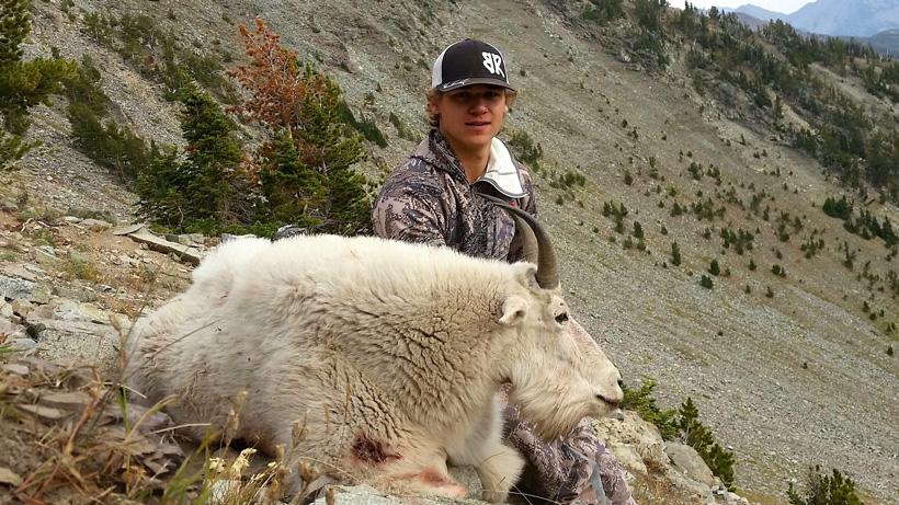 APPLICATION STRATEGY 2017: Montana Sheep, Moose, Goat, Bison - 2d