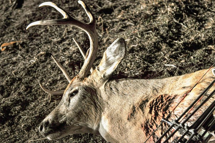 APPLICATION STRATEGY 2016: Kansas Deer - 7d