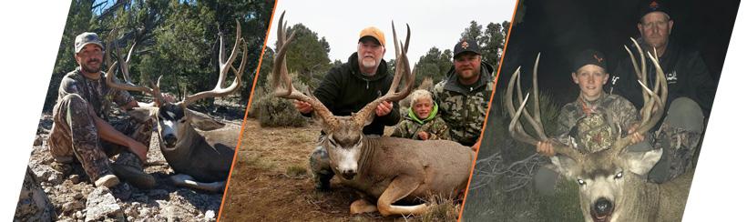 7l outfitters mule deer photos for nevada guide draw