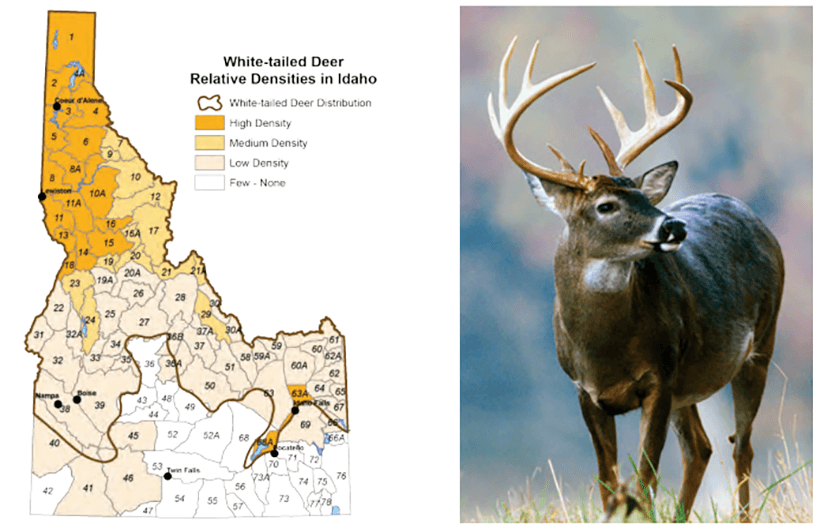 Idaho whitetail densities map