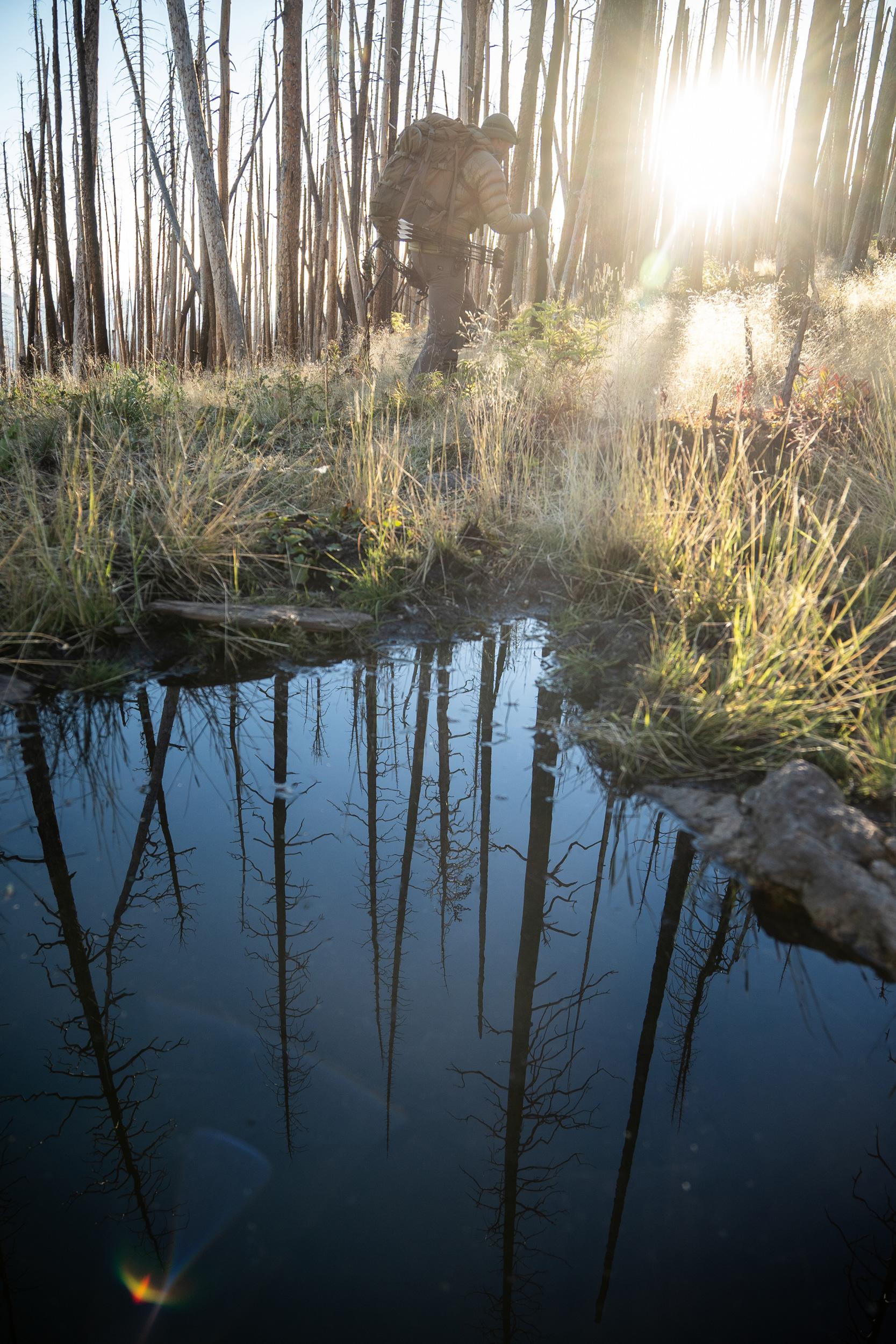The importance of water for elk