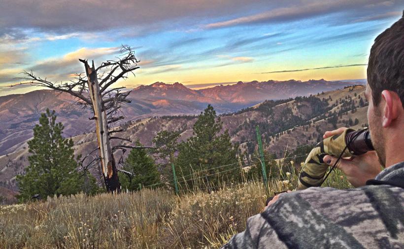 Colton johnston bugling for elk
