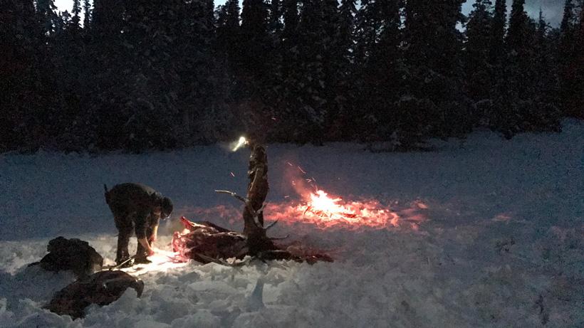 Campfire while cutting meat to avoid grizzly bears