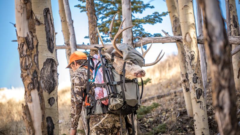 Summer mule deer scouting for late fall hunting success: Part 2 - 2