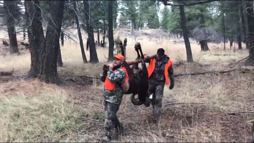 Once in a lifetime DIY Montana sheep hunt - 5