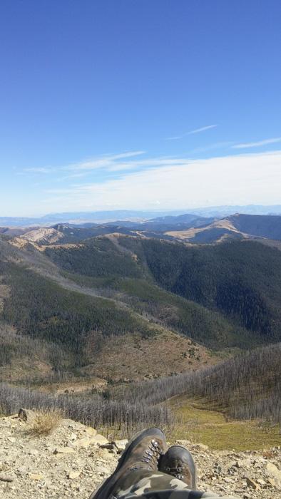 Glassing for montana spring black bears