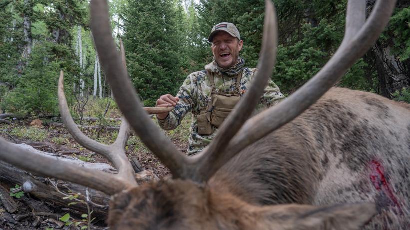 Trail bull elk down 1