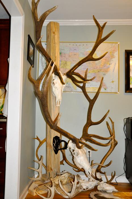 European antler post