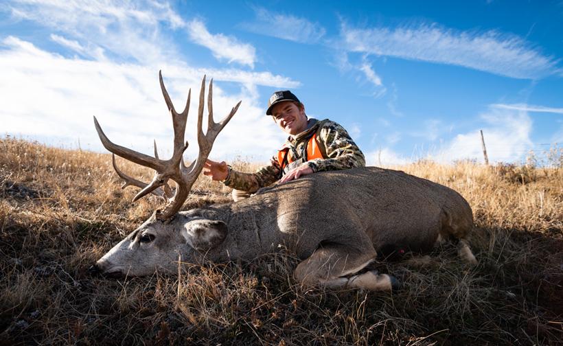 APPLICATION STRATEGY 2019: Montana Deer - 7d