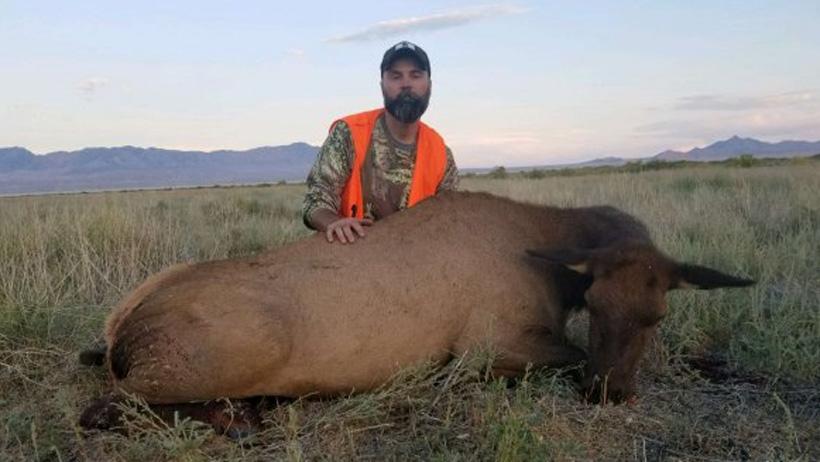 Cow elk taken with clear creek outfitters