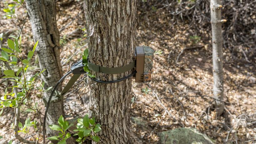 3 common mistakes when running trail cameras - 1
