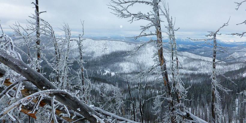 Late season elk hunting conditions