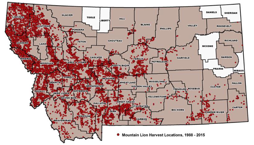 Distribution of montana mountain lion harvest