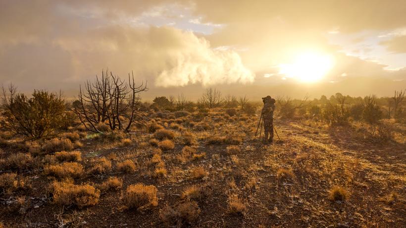 Greg krogh glassing for nevada mule deer