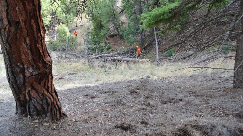 Downfall while elk hunting