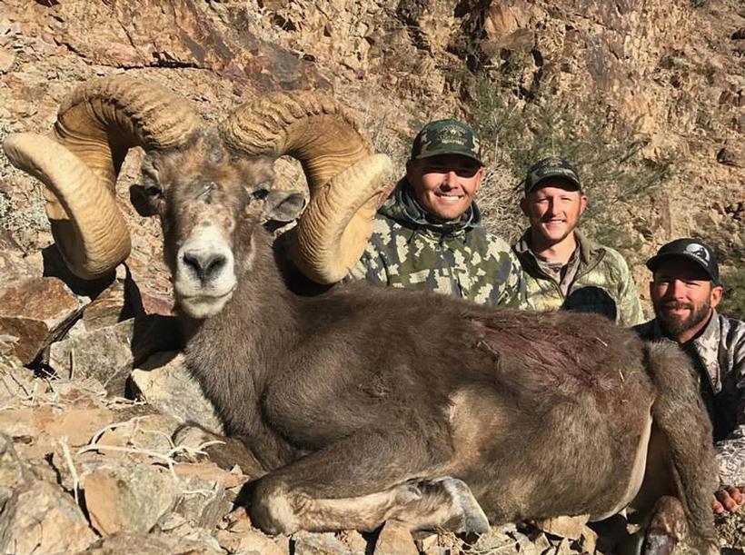 Arizona desert bighorn sheep taken with arizona desert outfitters_0