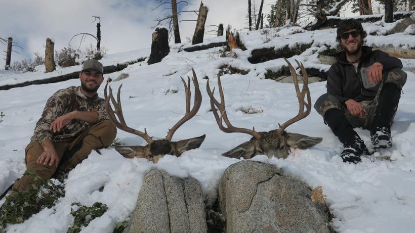 Idaho mule deer double